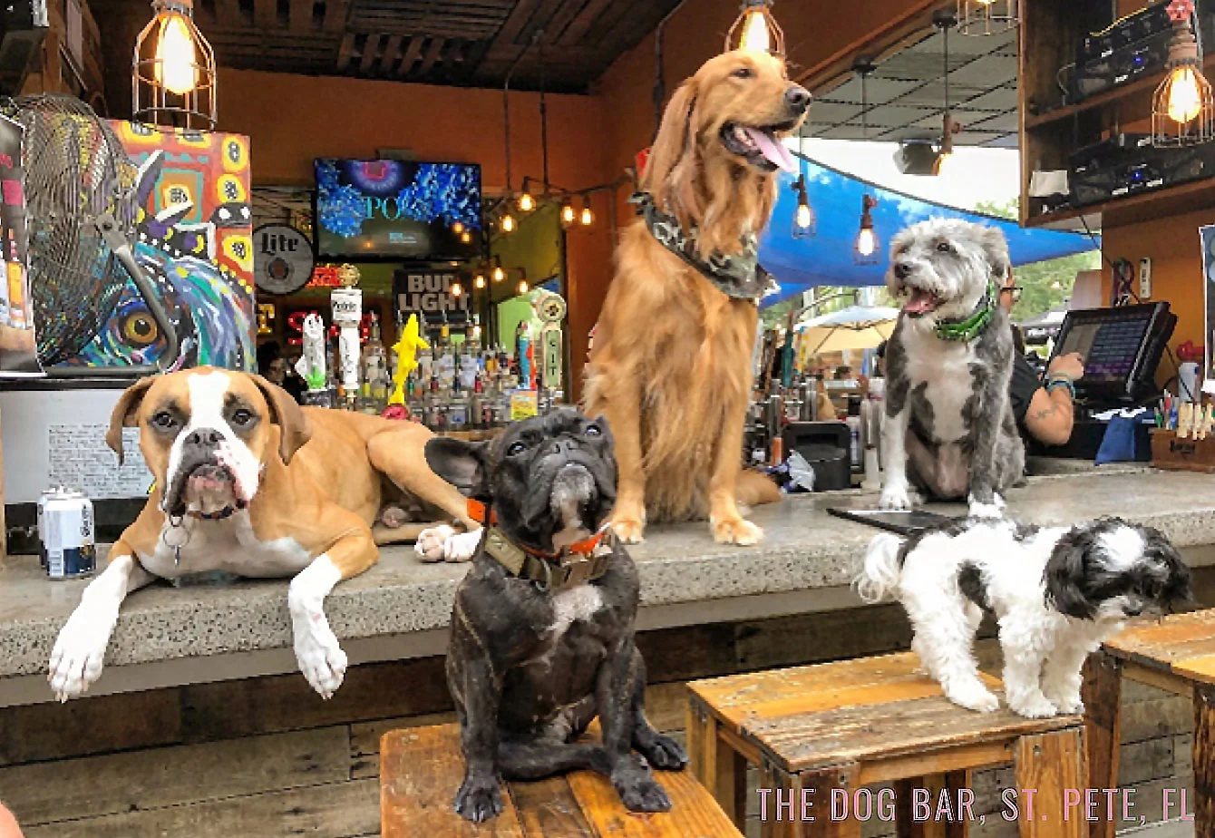 Red and Cream Envelope Valentine's Day Ideas