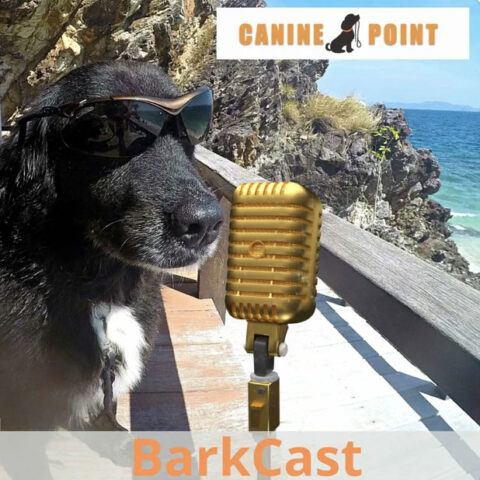 Podcast BarkCast - Puppy Love