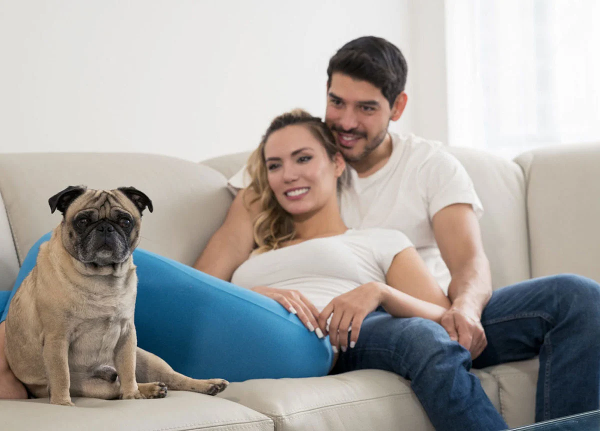 Couple of young spouses, in love, sitting in the living room of their house, looking at each other, embraced and happy with your cute pug puppy