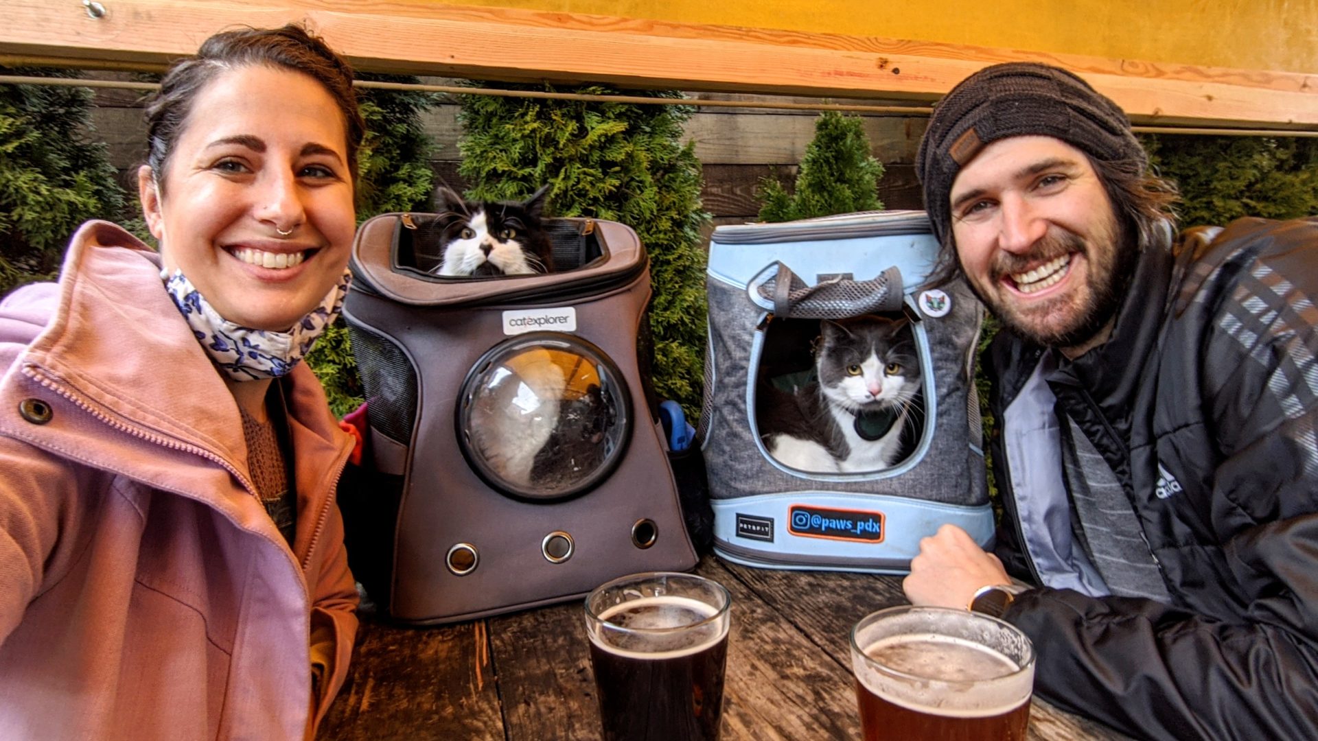 6 DogFriendly Breweries for Your Next PetFriendly Date