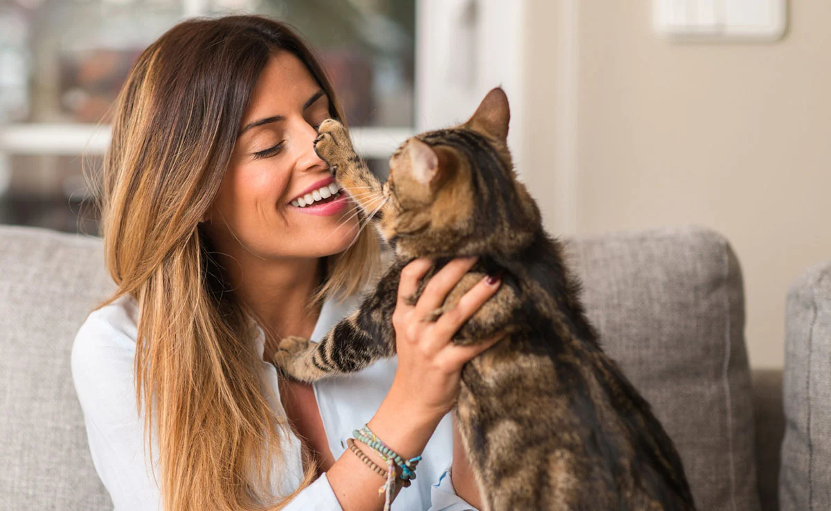 Use Our Cat Lovers Dating App To Meet Other Cat People Like You