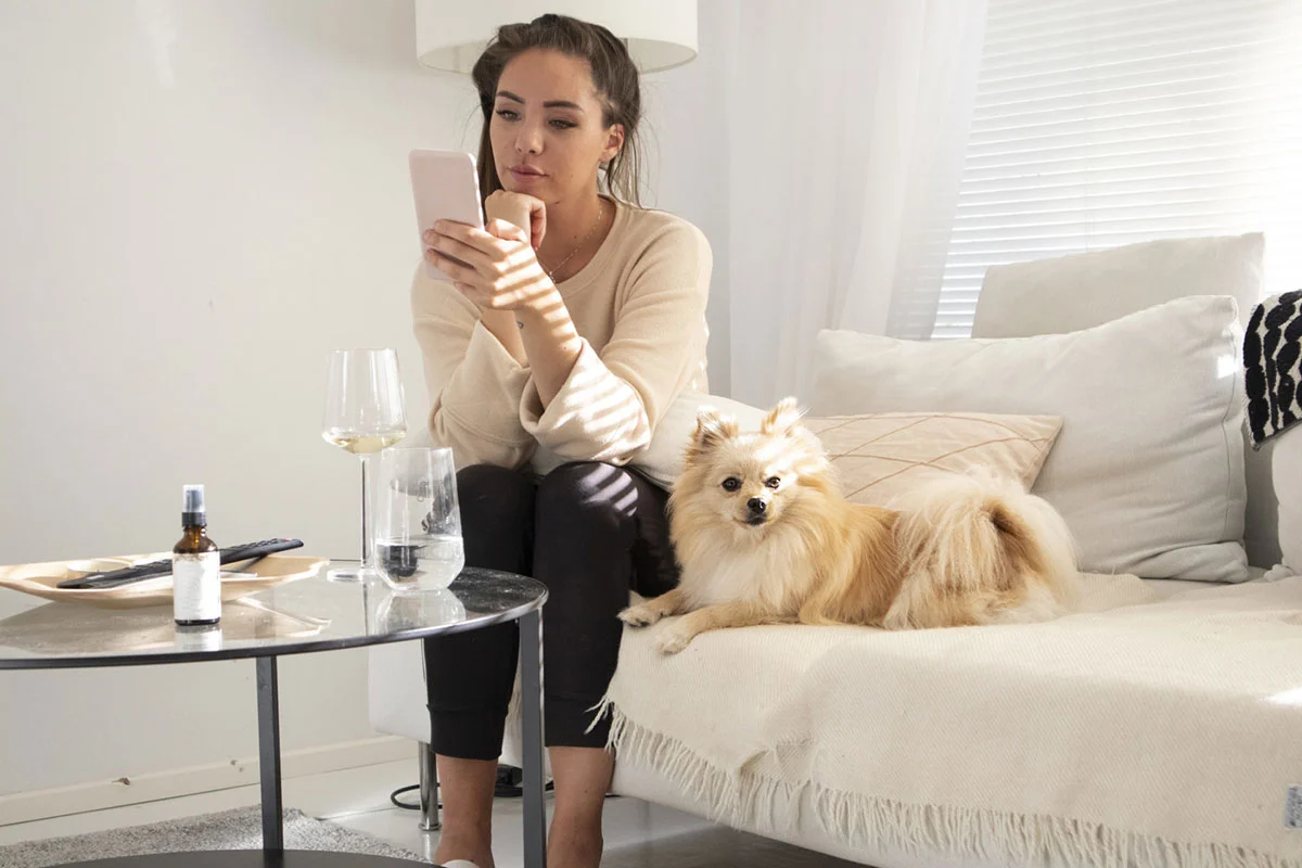 Woman using smartphone app sit on sofa